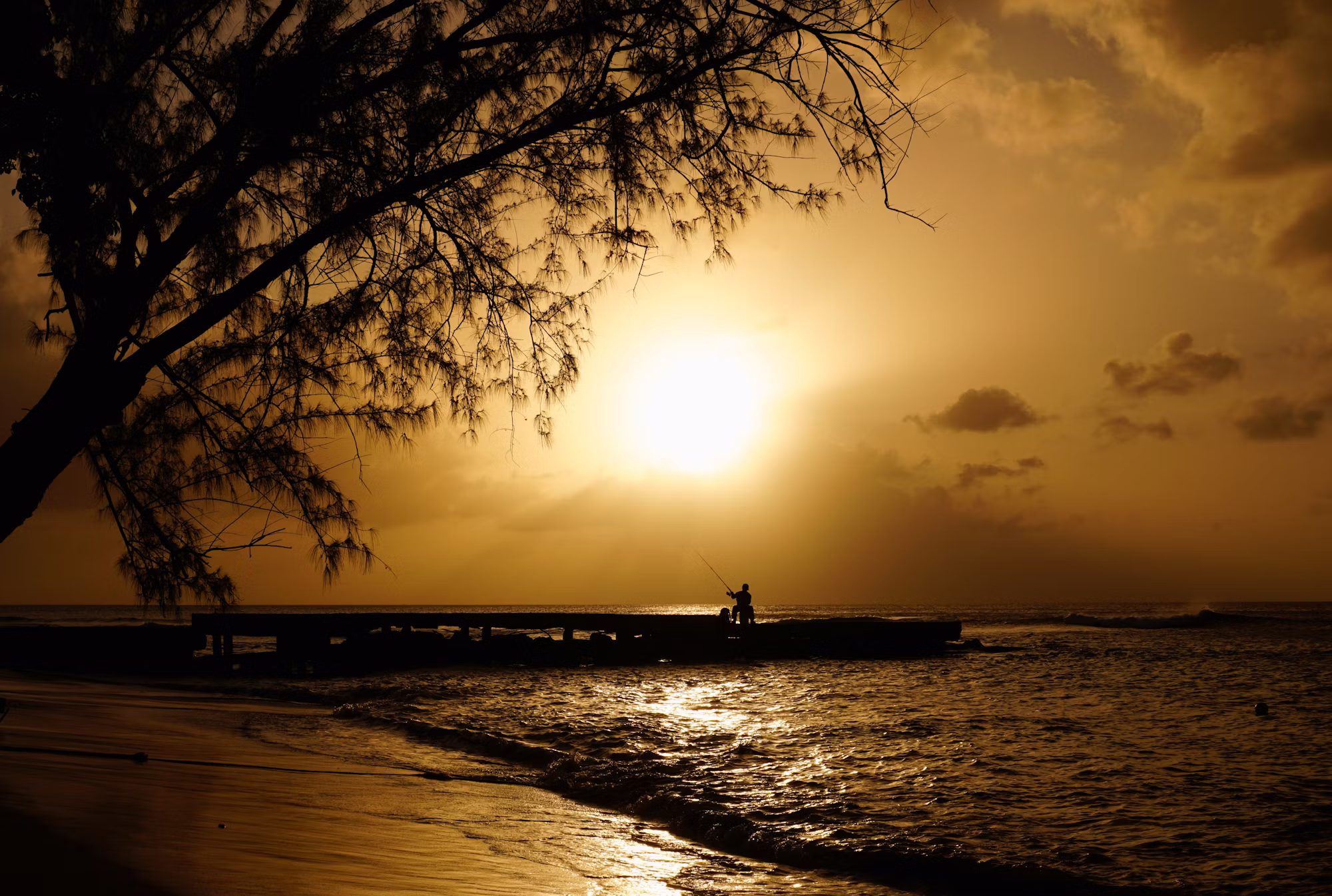 A Deep Dive into Fishing Techniques: Finding Your Perfect Method